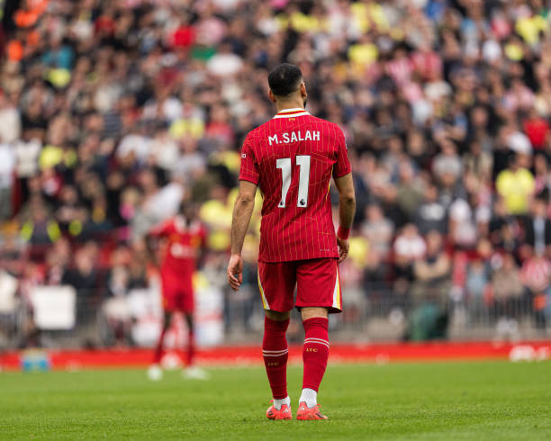 观众的热切 观众的热切