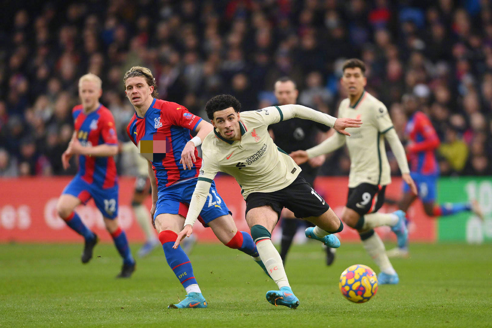 关注度极高 关注度极高