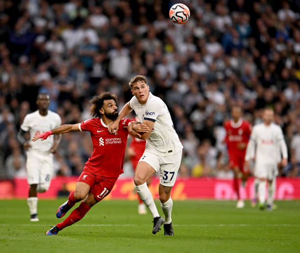 化还需半年 化还需半年