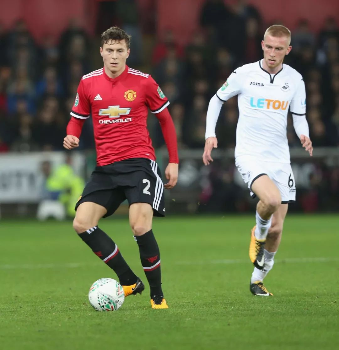 地养护国际 地养护国际